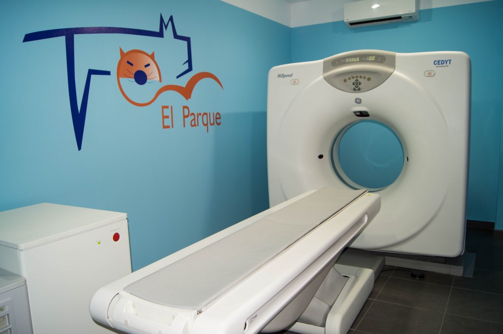 Clinica Veterinaria El Parque equipos para neurología